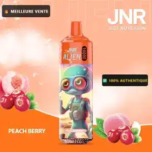 Peach Berry – JNR Alien 10000 | 10K Puffs Disposable Vape