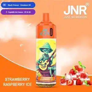 Strawberry Raspberry Ice – JNR Alien 10000 | 10K Puffs Disposable Vape