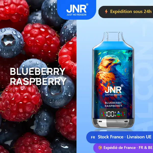 Blueberry Raspberry - JNR Falcon X 18K | 18000 Puffs Disposable Vape