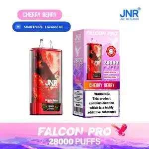 Cherry Berry - JNR Falcon Pro 28K | 28000 Puffs Disposable Vape