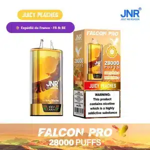 Juicy Peaches - JNR Falcon Pro 28K | 28000 Puffs Disposable Vape