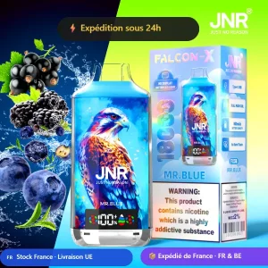 Mr.Blue - JNR Falcon X 18K | 18000 Puffs Disposable Vape